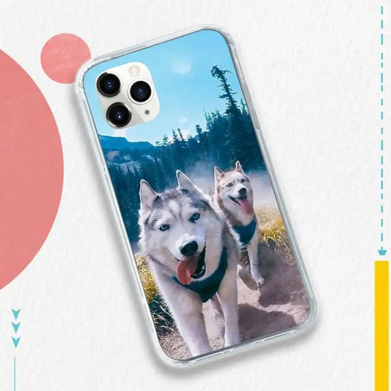 

Cute dog husky animal Phone Case for iPhone 11 12 mini pro XS MAX 8 7 6 6S Plus X 5S SE 2020 XR