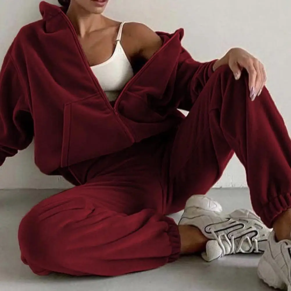 

Fall Winter Women Zip UP Cotton Long Hooded Sets Drop Shoulder Fleece Jacket Elastic Waist Wide Leg Pants Tracksuit