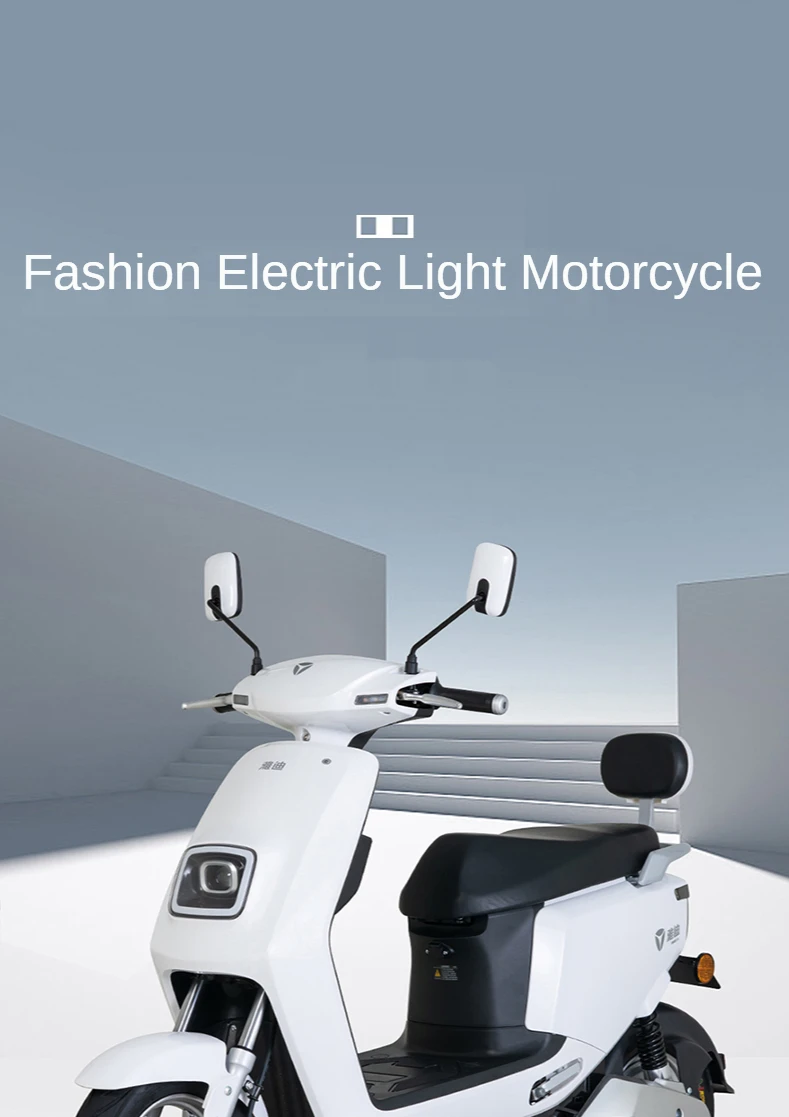 

48V Lithium Battery Car Electric Bicycle