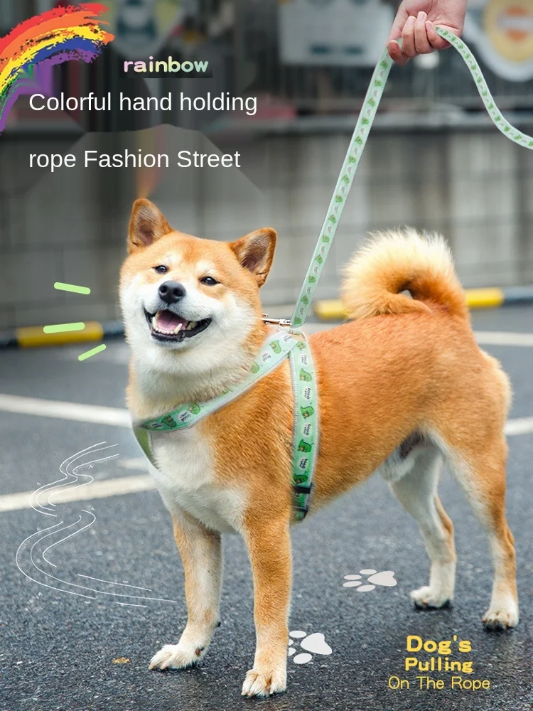 

Dog Hand Holding Rope Dog Chain Dog Leash Collar Strap Puppy Small and Medium Dogs Teddy Corgi Pet Supplies