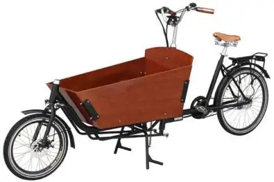 Электрический 2 ух колесный уличные Еда велосипед нового дизайна три колеса