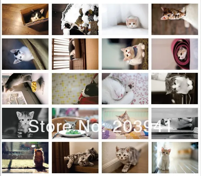 28 звёзд симпатичная новинка кошка в животном стиле креативный подарок случайная