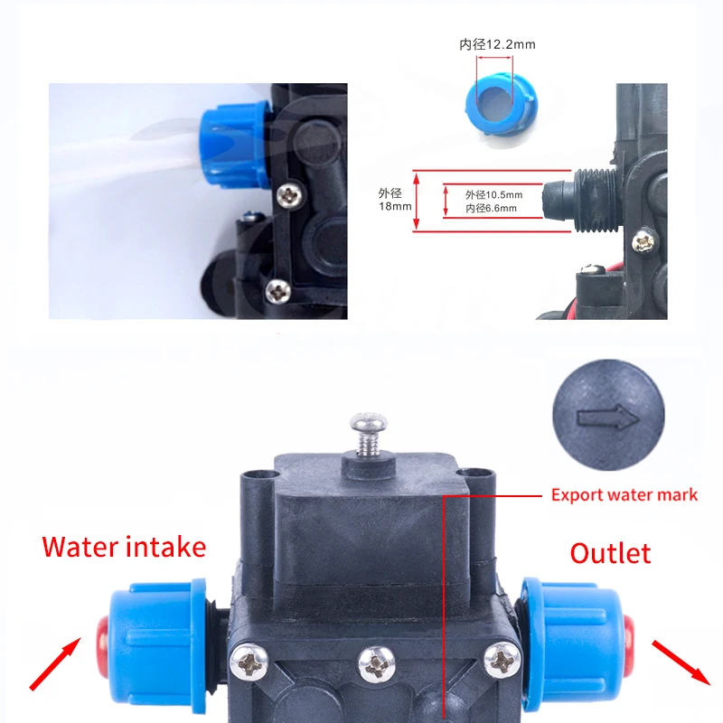 12V 24V 120W 130PSI 10L/мин Тип электрическая водяная пленка высокого Давление самовсасывающий насос для сада обратный клапан