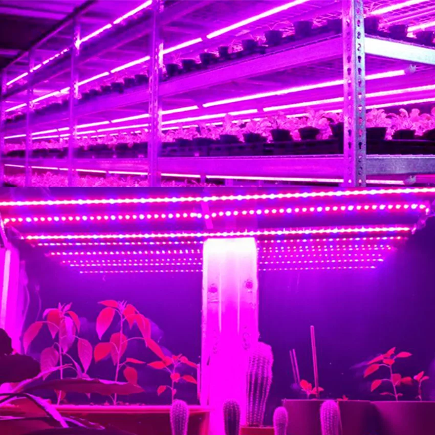 

Full Spectrum Led Grow Light Strip 5M LED Strip+Adapter smd5050 UV Plants Flower Seeds Phyto Growth Lamps Grow Lights