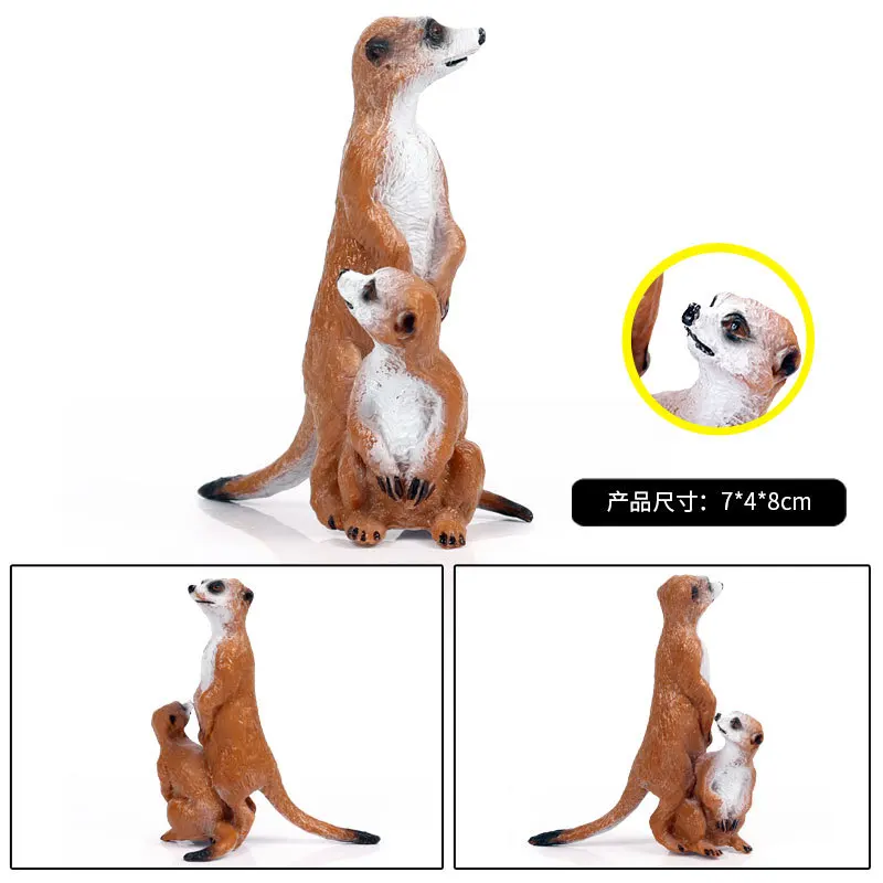 Meerkat Животные модель фигурку моделирование диких экшн-фигурки животных
