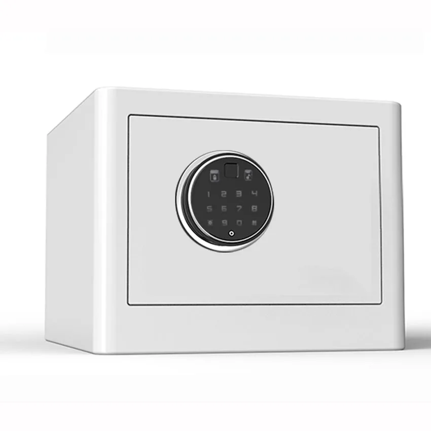 BGX M/D 25 AG для домашнего пользования безопасный небольшой Анти кражи отпечатков