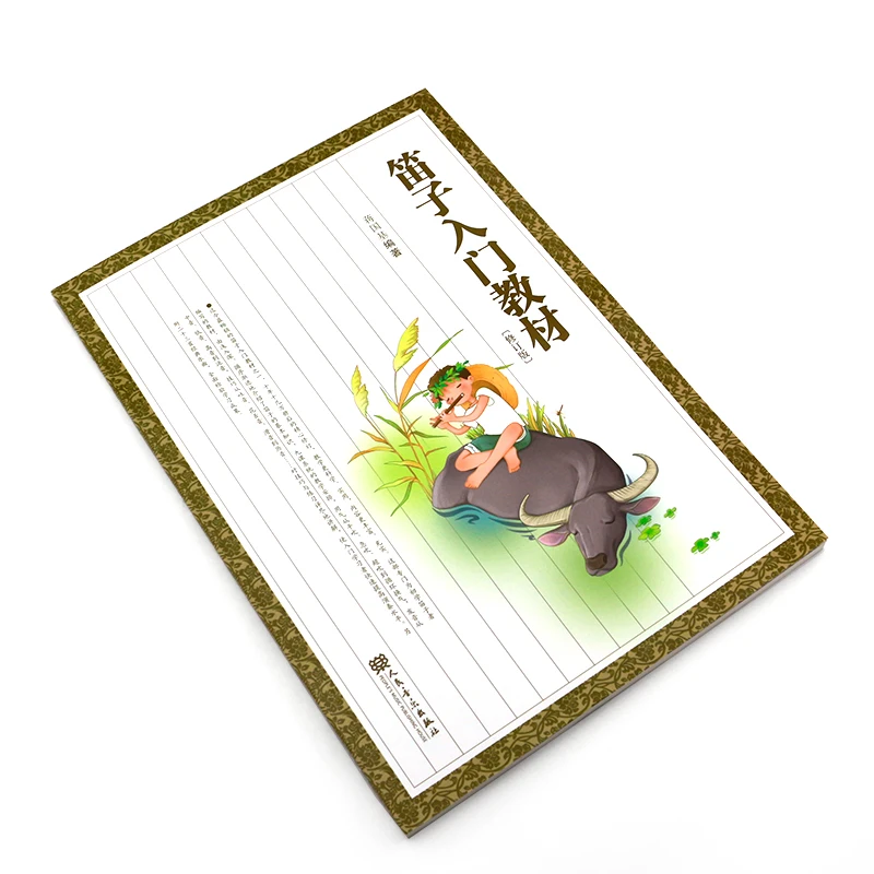 Учебник для начинающих с подлинной бамбуковой канавкой базовый учебник Dizi