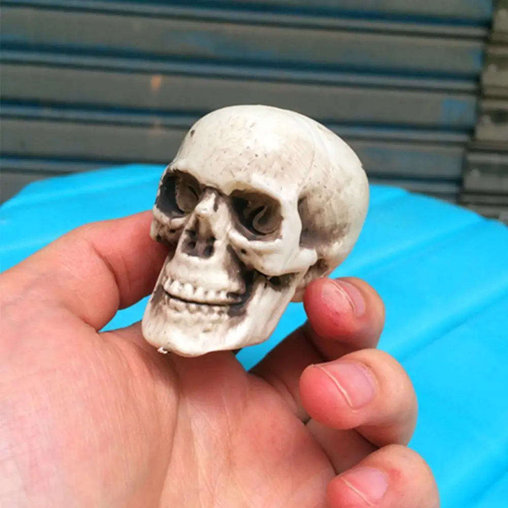 Украшения на Хэллоуин искусственный череп модель головы пластиковый кость ужас