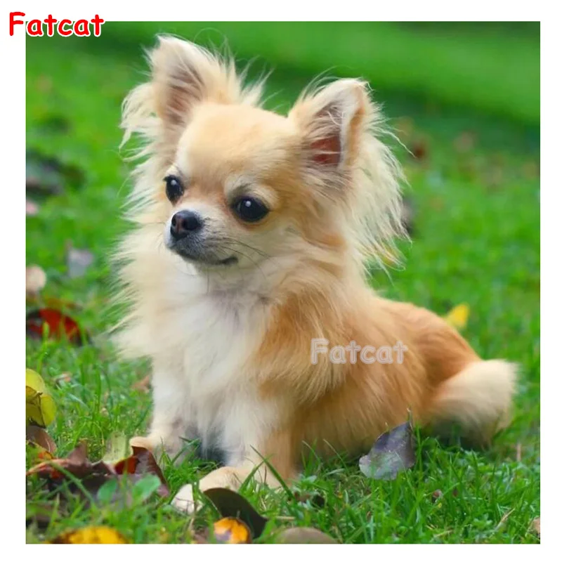 

diamond painting pet dog 20x20cm PP001