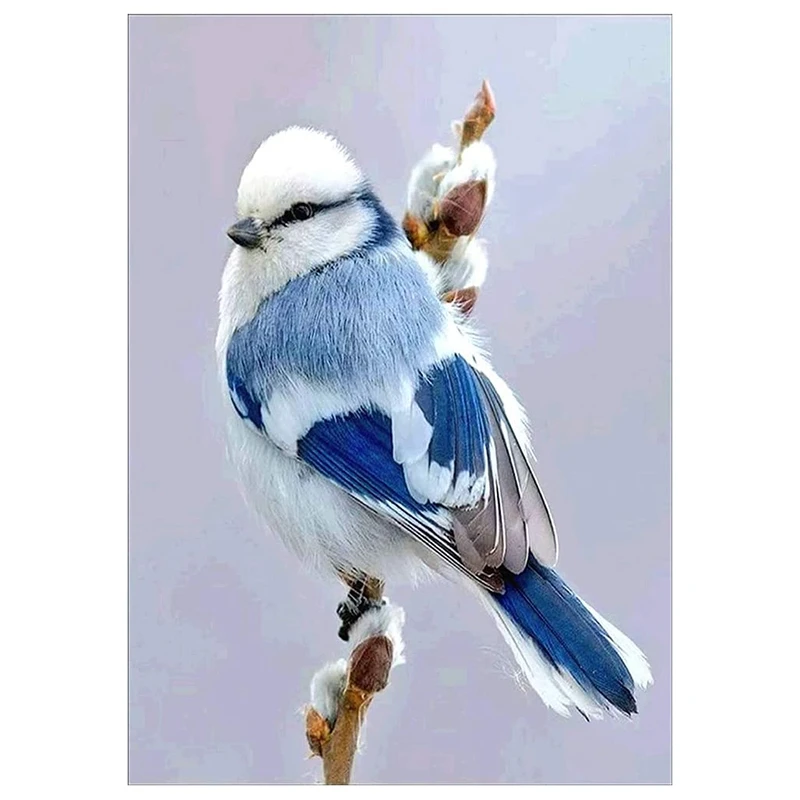 

Бриллиантовая живопись, полный набор бриллиантов, картина Стразы, искусство, украшение для двери дома (синяя птица)