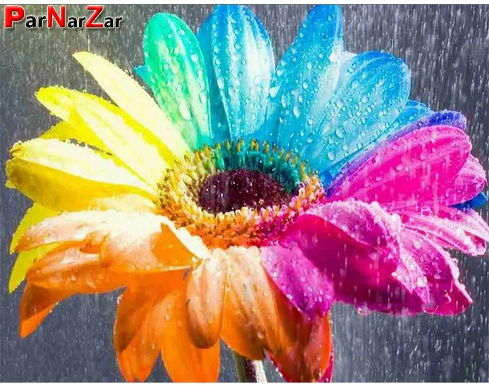 

ParNarZar 5D DIY Diamond Painting Kits Full Round Drill Colorful Flower Picture Embroidery Craft Art Wall Decor Rainbow Daisy
