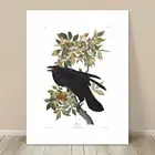 Картина с изображением знаменитой птицы, Джона Одюбон, Ворон корвид, картина с изображением вороны, настенное украшение для салона