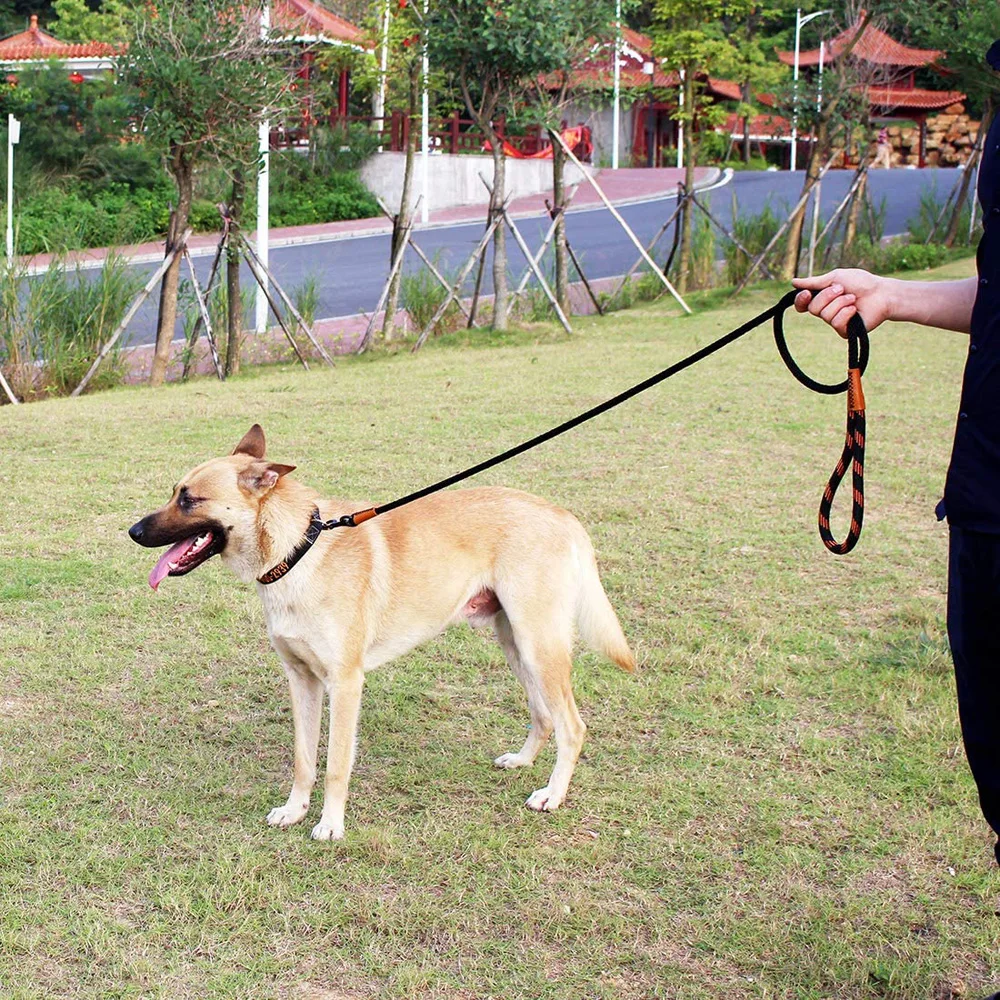

Dog Leash Large Rope Durable Dog Leash Walking Big Dog Collar Strengthen Traction Harness Round Nylon Medium Pet Dog Lead