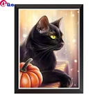 Алмазная 5D картина с тыквой, сделай сам, полноразмерная, круглая, животное, черная кошка, вышивка крестиком, 3D Стразы, украшение для вышивки
