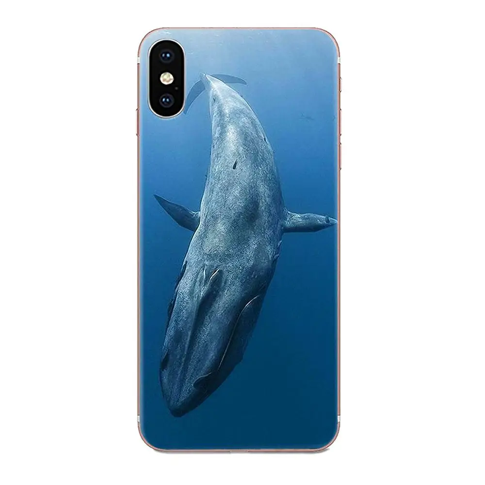 Мягкий Силиконовый ТПУ Прозрачный чехол для сотового телефона КИТ акулы Рыба Xiaomi