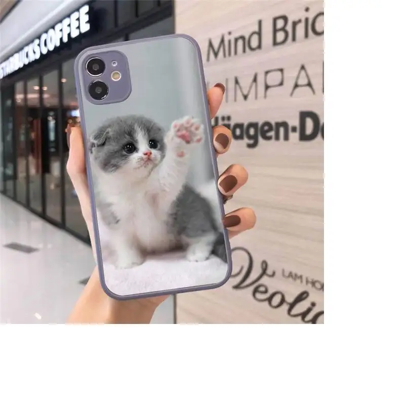 

Phone Case For iPhone 12 11 Mini Pro XR XS Max 7 8 Plus X cute cat Matte transparent Gray Cover