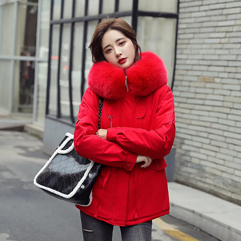 

Short cotton-padded coat with plush lining for women winter new style Korean loose fashion big fur collar to overcome the tide
