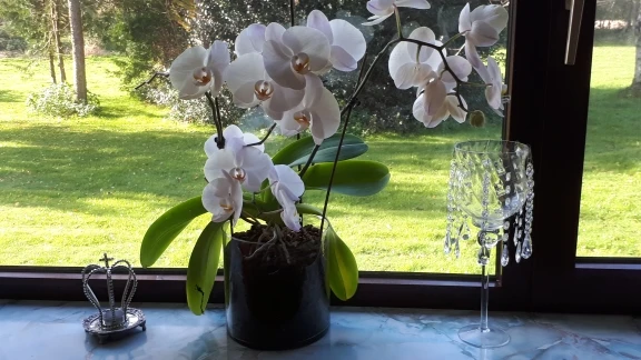 Акриловая подвеска с бусинами из кристаллов Стекло призмы Ловец Солнца