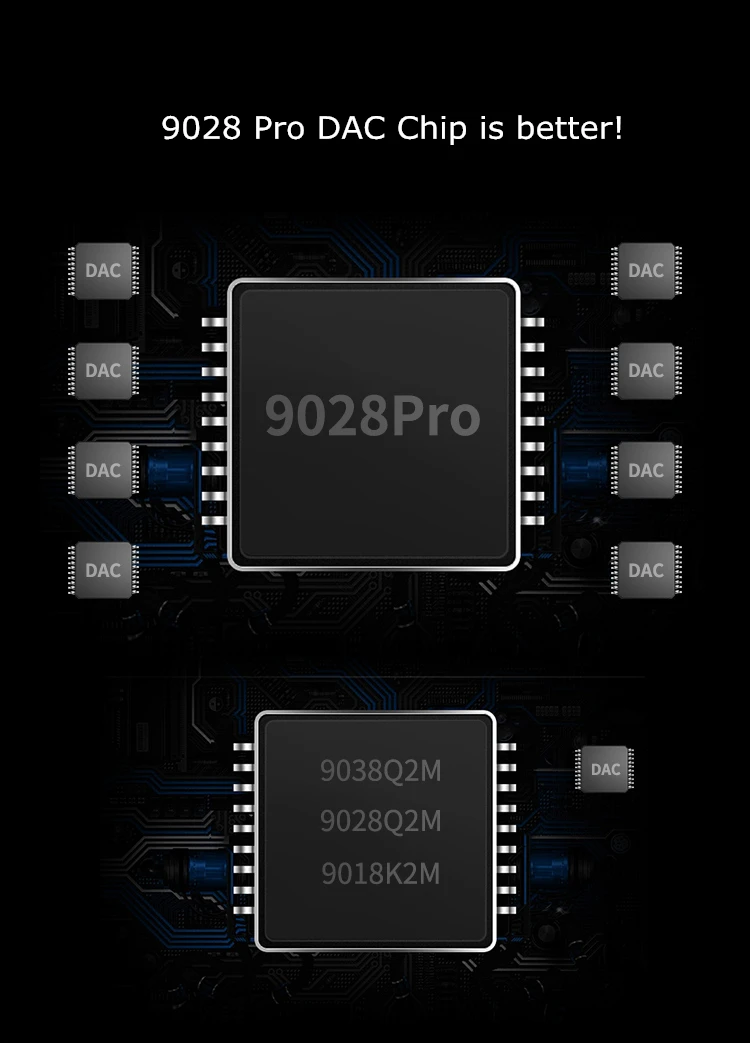 

R-100 DS5 CSR8675 Bluetooth 5.0 APTX HD digital Audio Transportation ESS9028Pro DAC
