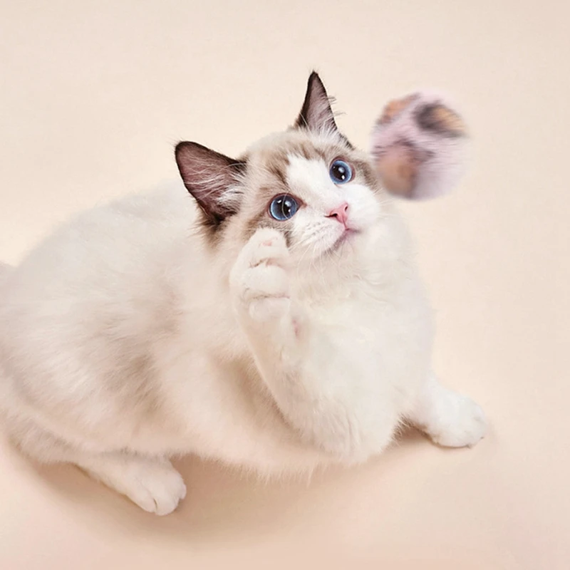 

6PCS Random Color Cat Plush Ball Toy Kitten Ball Toy Play Toy With Catnip Cat Funny Interactive Toys Training Toys Dorakitten