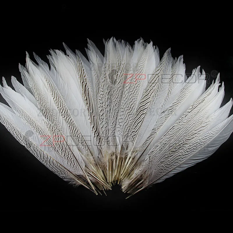 Фотообои ZPDECOR 40-45 см | Дом и сад