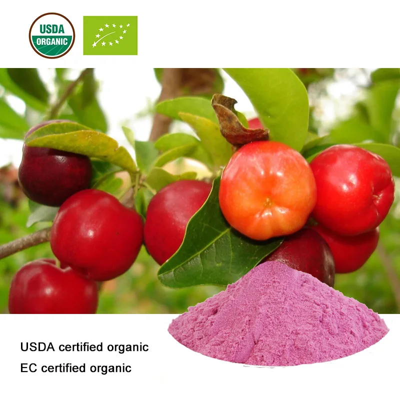 

100-1000g Acerola Cherry Powder Natural 20:1 Vitamin C,Malpighia glabra extract Powder,Cerasus spp extract,Antioxidant Wholefood