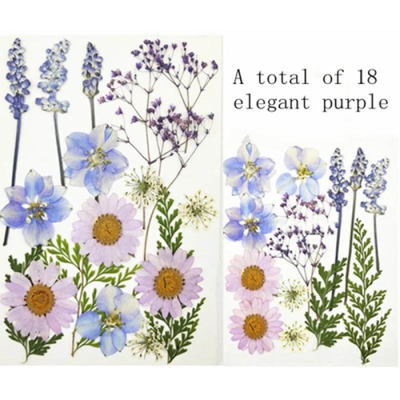 Настоящий цветок прессованный сетчатая красная наклейка на углы глаз лепесток