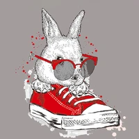 cartoon rabbit shoes transfer thermal stickers patches for clothes diy washable t shirts iron on transfer