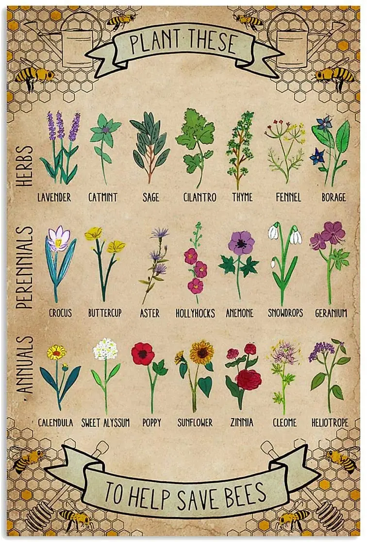 

Eeypy Personalized Sign Board Plant These to Help Preserve Bee Knowledge Metal , Vintage Mural, Home Decoration Sign Anniversary