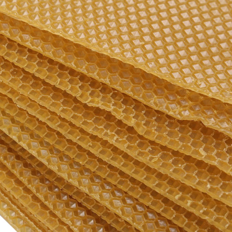 

10 PCS Pack Honeycomb Wax Frames Beekeeping Foundation Honey Hive Equipment Bee