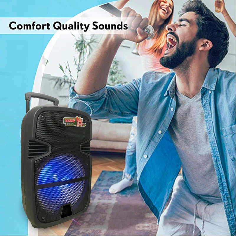 FELYBY 12-inch wireless Bluetooth high-power surround sound speaker outdoor portable trolley speaker support TF card microphone