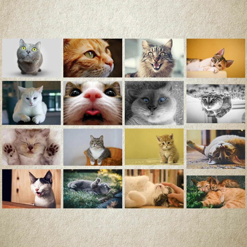 

Diy Diamond Decoration Painting Animal Three Yellow Cats Dog Square Diamond Round Diamond Customizable Wall Art Decoration