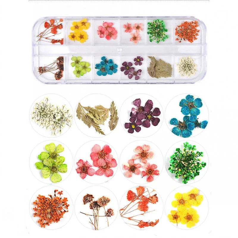Сухие цветы для ногтей 12 цветов 1 коробка|Стразы и украшения| |