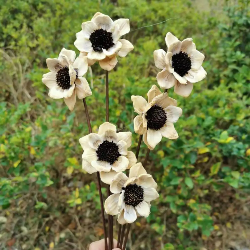

6pcs,Nature Dried Flower for DIY Real Eternal Rose,Wedding Party Home Decoration accessories,Flowers Arrangement,easter decor