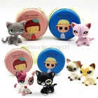 LPS кошка для домашних питомцев, игрушки стоят, колли, Такса, коккер-спаниель, немецкий дог, редкая короткая шерстяная кошка с подарочной коробкой для детей