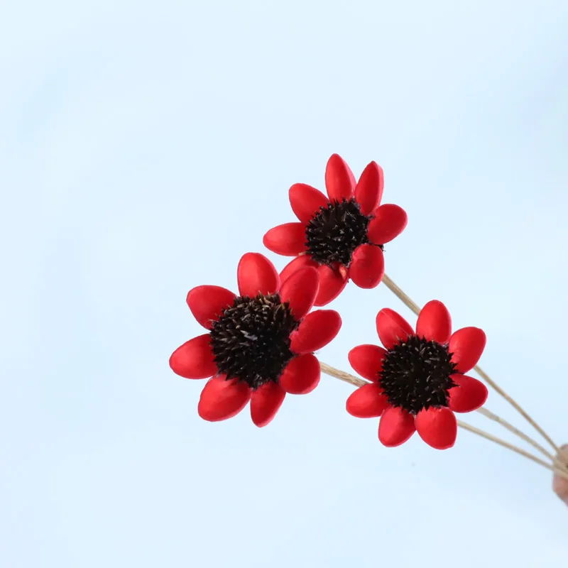 A ++ лучшие сушеные счастливые цветы 3 шт улыбающиеся милые Вечные Природные