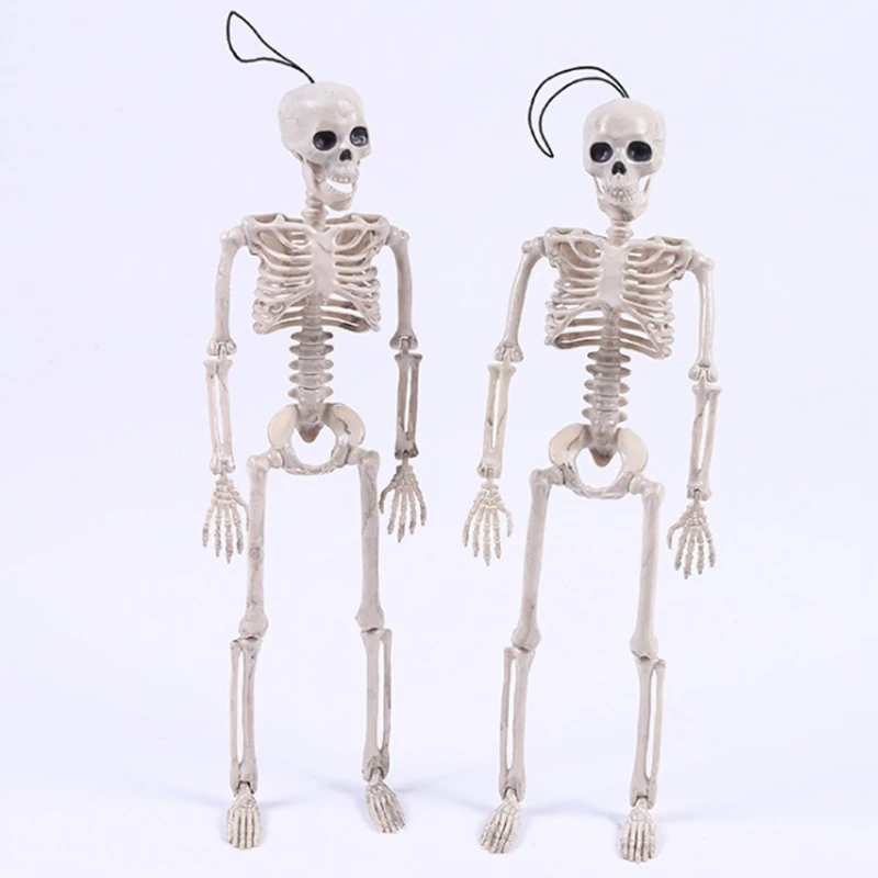 

Novelty Cool Skeleton Mister Bride Human Model Skull Body Figure Toy Halloween