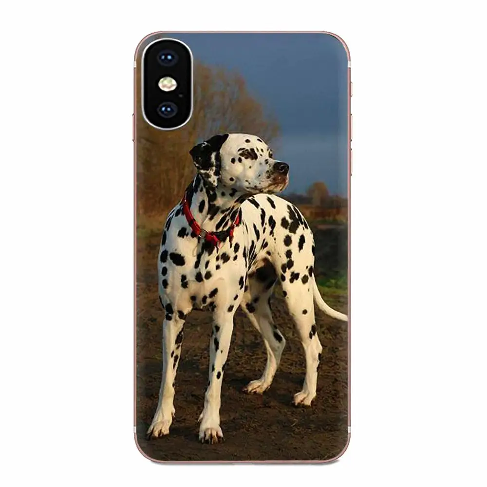 For Samsung Galaxy Note 5 8 9 S3 S4 S5 S6 S7 S8 S9 S10 5G mini Edge Plus Lite TPU Screen Protector Black And White Dalmatian Dog | Мобильные