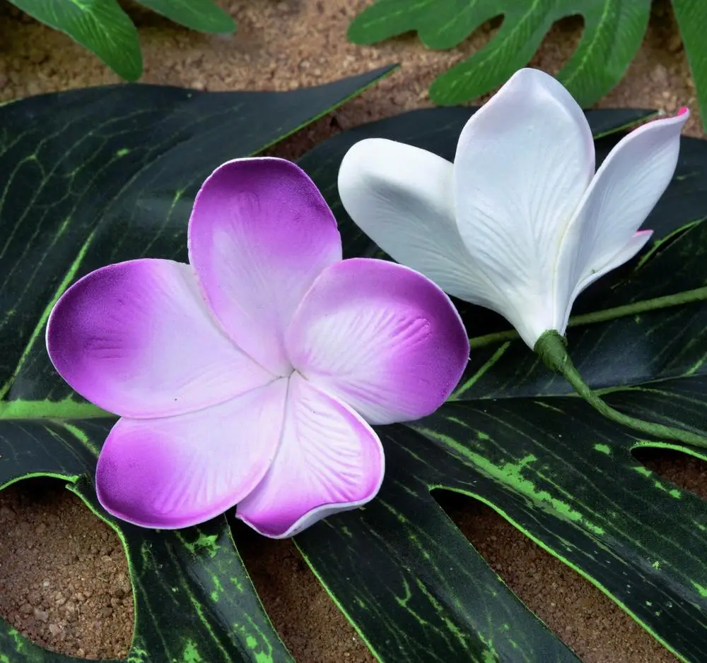 Рисунок 5 - Бесплатная доставка