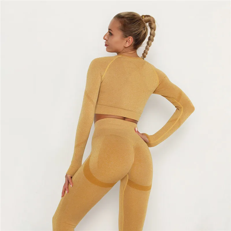 Женский комплект из двух предметов бесшовный спортивные костюмы для фитнеса
