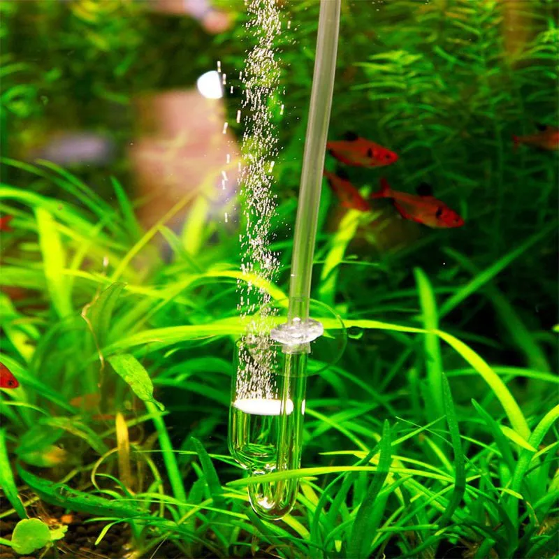 4 в 1 стеклянный распылитель для живых растений | Дом и сад
