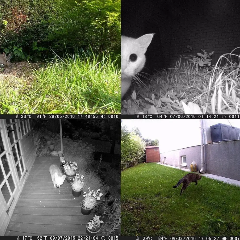 Охотничья камера Suntekcam HC801A для фотоловушки 16 МП ночное видение водонепроницаемая