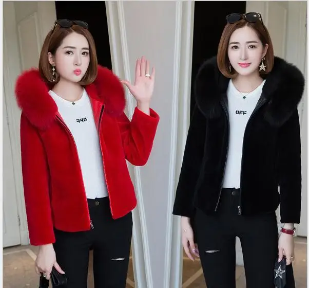 Бесплатная доставка. Зимняя теплая плотная женская короткая куртка из 100% шерсти.