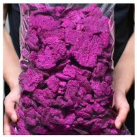 500g freeze dried red pitaya fruits snackschunks non gmo 100 natural and organically processesbake material cake decorate