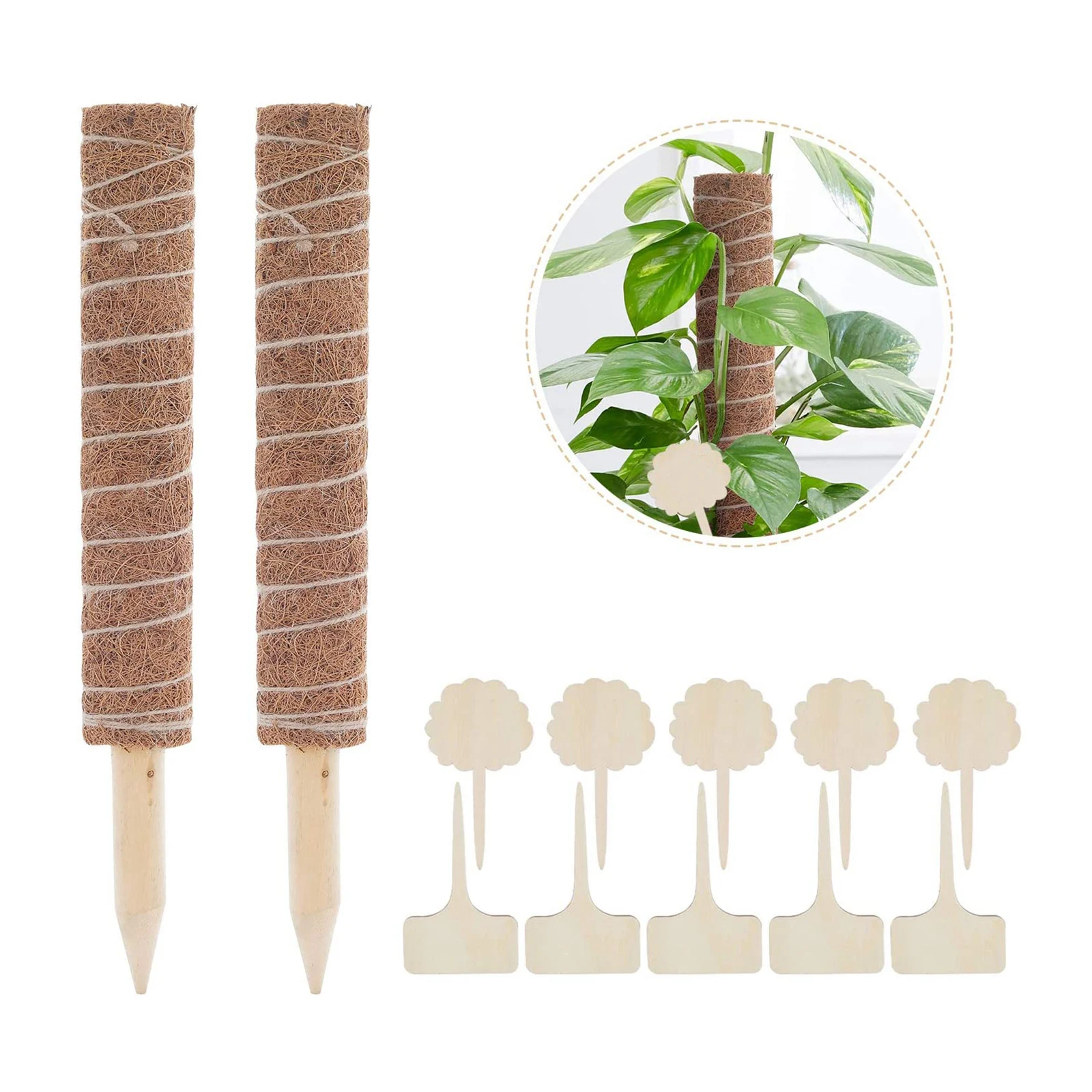 

Coir Moss Pole Plant Extension Support Creeper Plants Support Stick