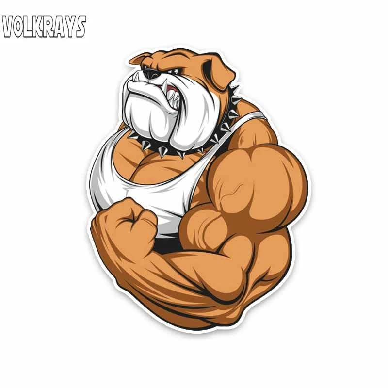 Volkrays индивидуальная Автомобильная наклейка бульдог полный цвет Бодибилдинг ed