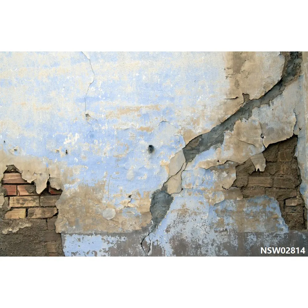 Laeacco старый пилинг кирпичная стена гранж портрет молодой фотографии фоны индивидуальные фотографические фоны для фотостудии - Цвет: NSW02814