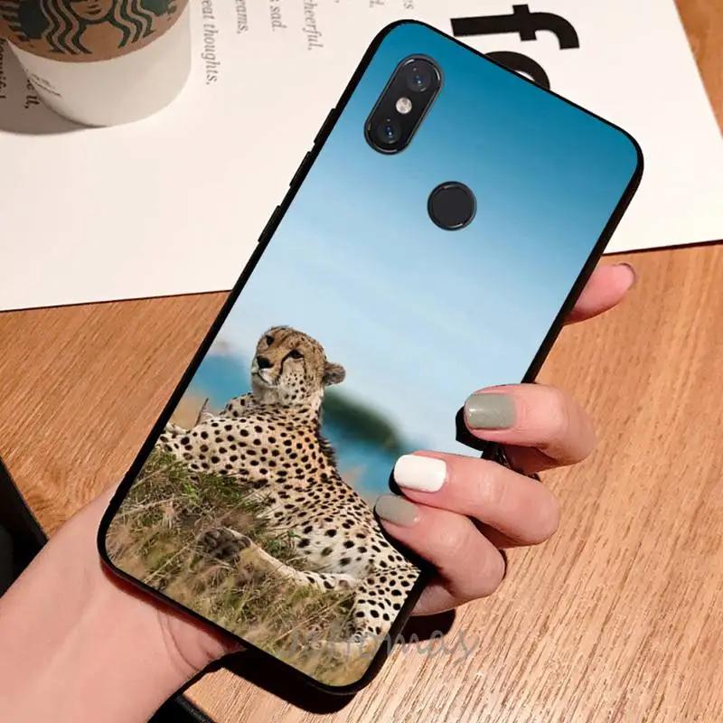 

Horror animal cheetah leopard Cats Phone Case For Xiaomi Redmi note 7 8 9 t max3 s 10 pro lite coque shell cover funda