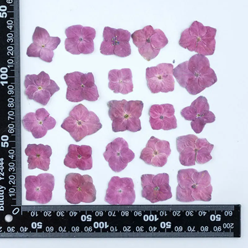 Натуральный цветок гортензии рубинового цвета для украшения сделай сам 120 шт. |