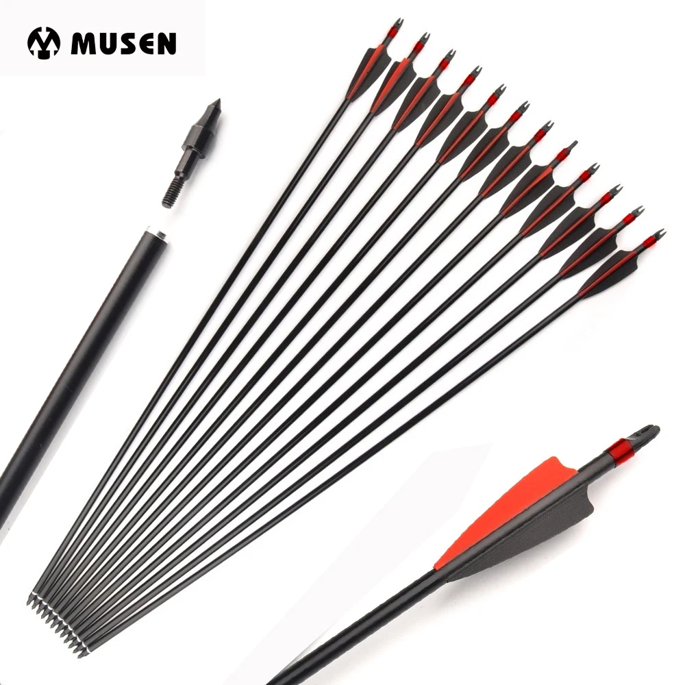 

DE 30 Inches Fiberglass Arrows Spine 500 Diameter 8mm with Explosion-proof for Compound Recurve Bow Archery Hunting Shooting